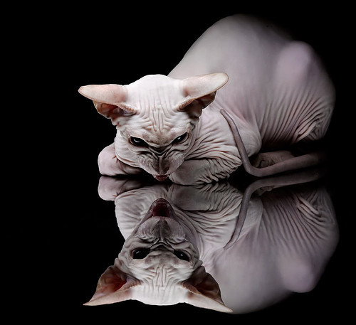 一场编号唯一的跨界踢馆，当雷恩借来姆巴佩，在友谊赛云端击沉墨西哥