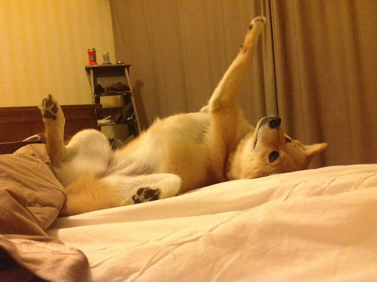 开云体育登录-广厦队引擎轰鸣客场击败深圳队，CBA季后赛上演F1街道赛式攻防