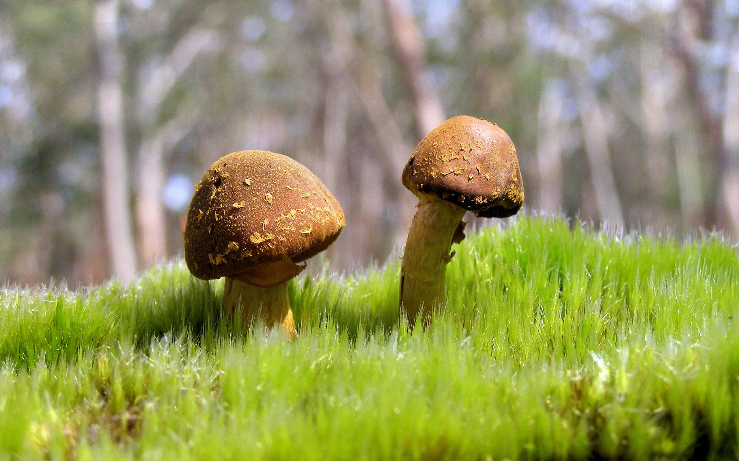 开云体育登录-年度焦点之战，富安健洋的铁血防守与领袖光芒