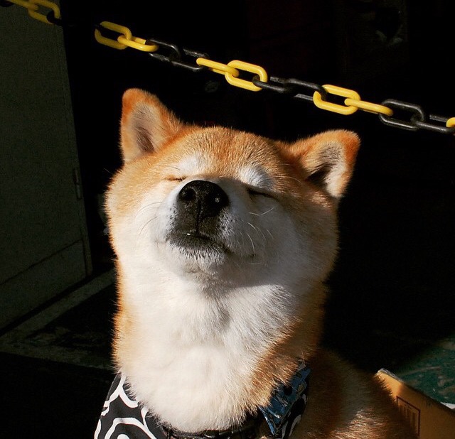 一场命运急转弯，布克亲手将雷霆推向辽宁队