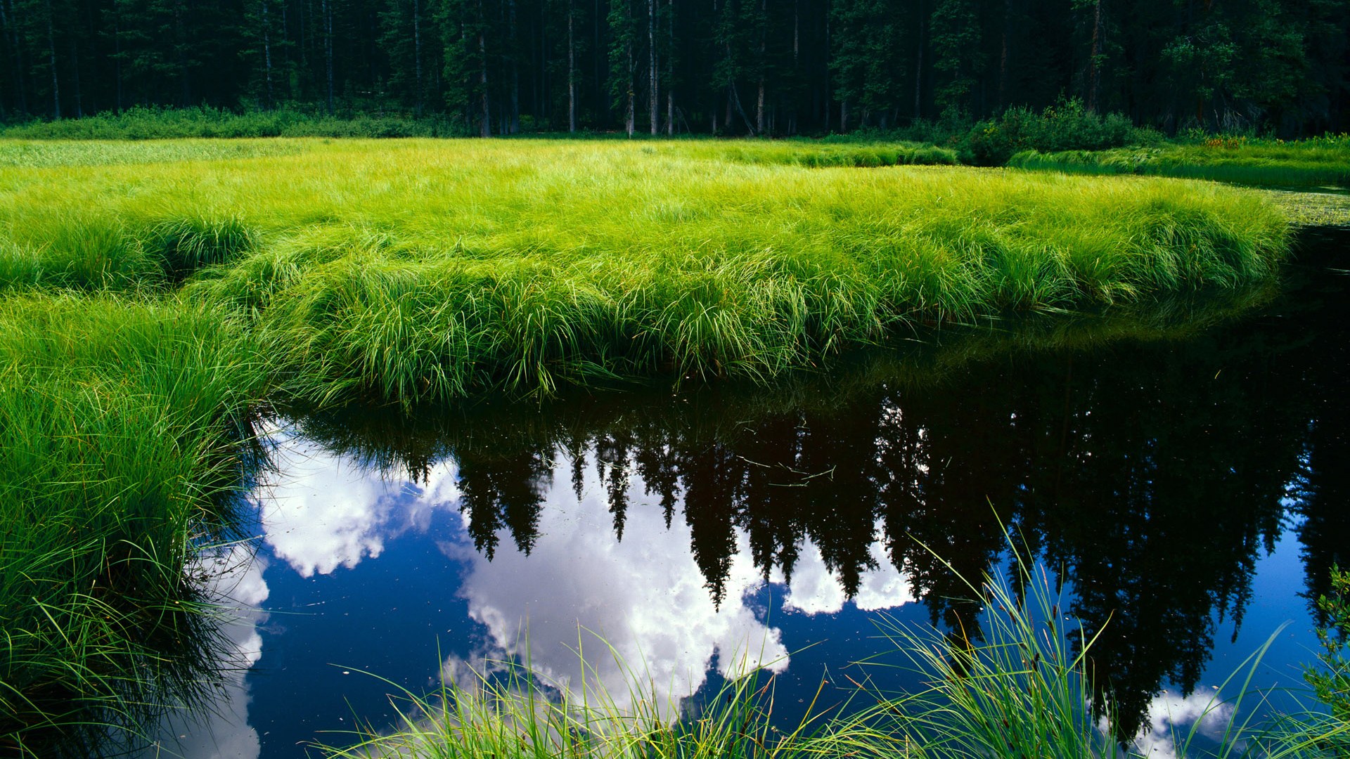 开云体育中国-时间的伪证，当结局在开始前已被书写