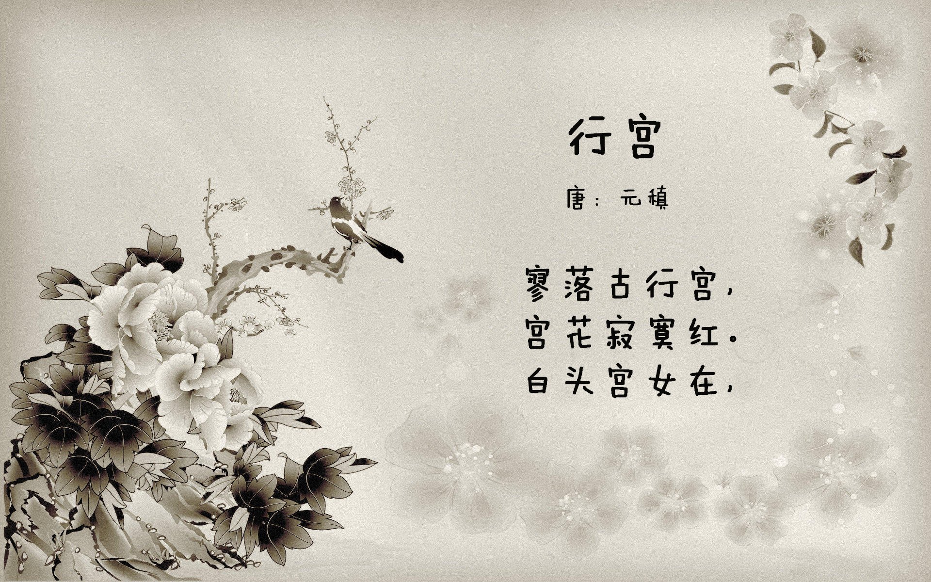 美加之夜，星光之上，哈登执笔