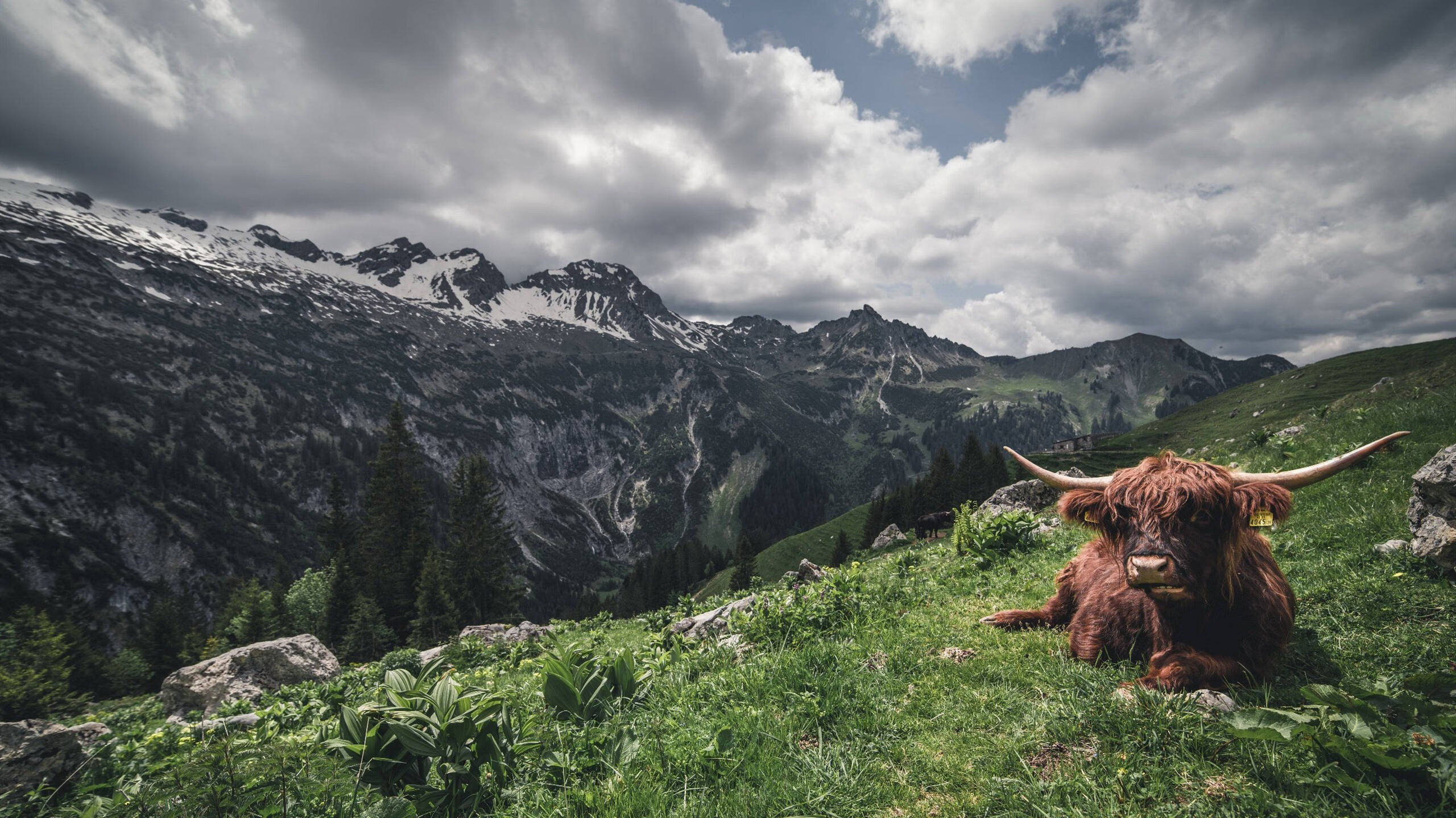 弦与鼓，当杜兰特拨动全队的脉搏