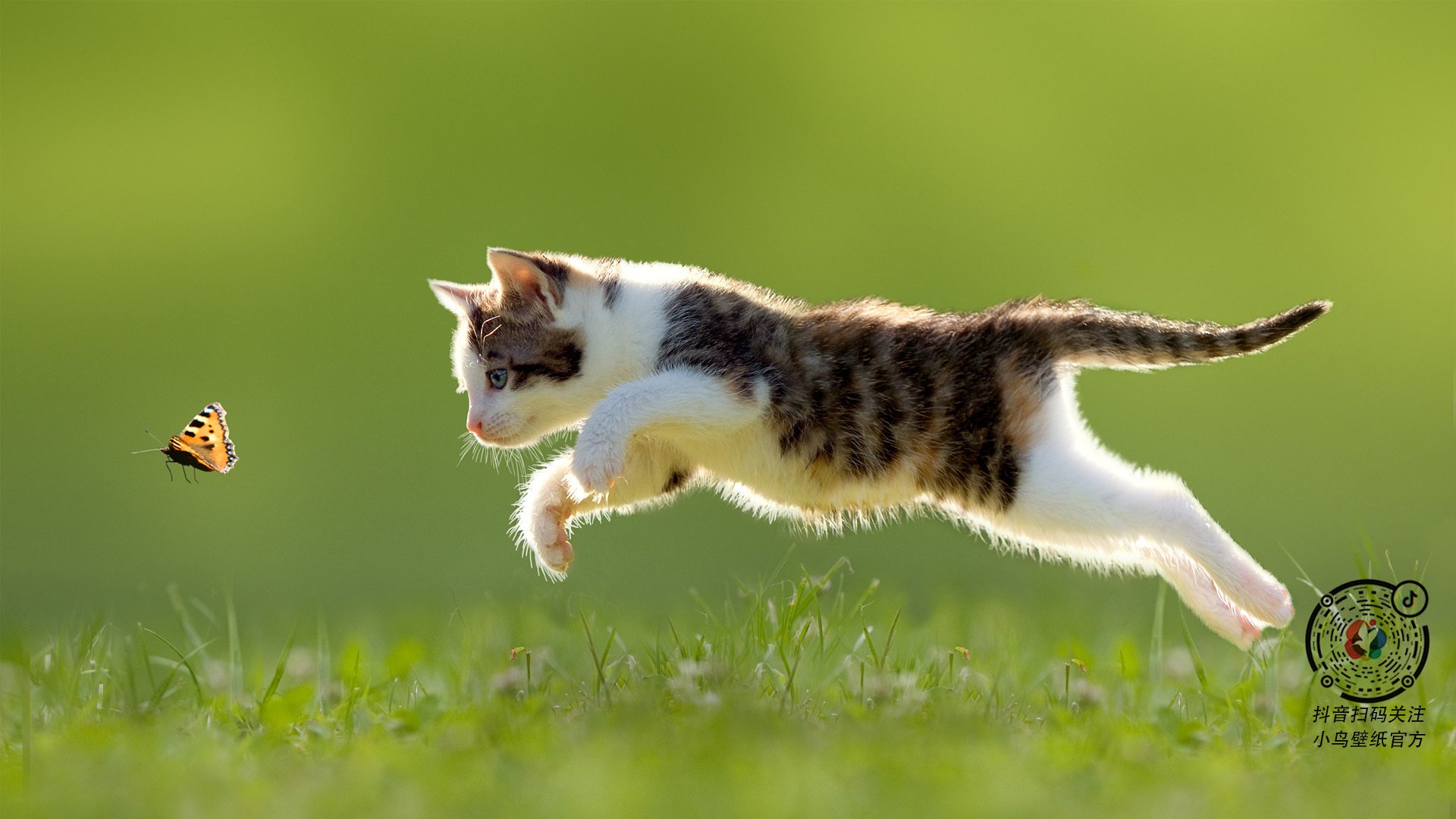 开云体育2026-奥亚尔萨瓦尔的压制级艺术，AC米兰与秘鲁友谊赛中的战术颠覆