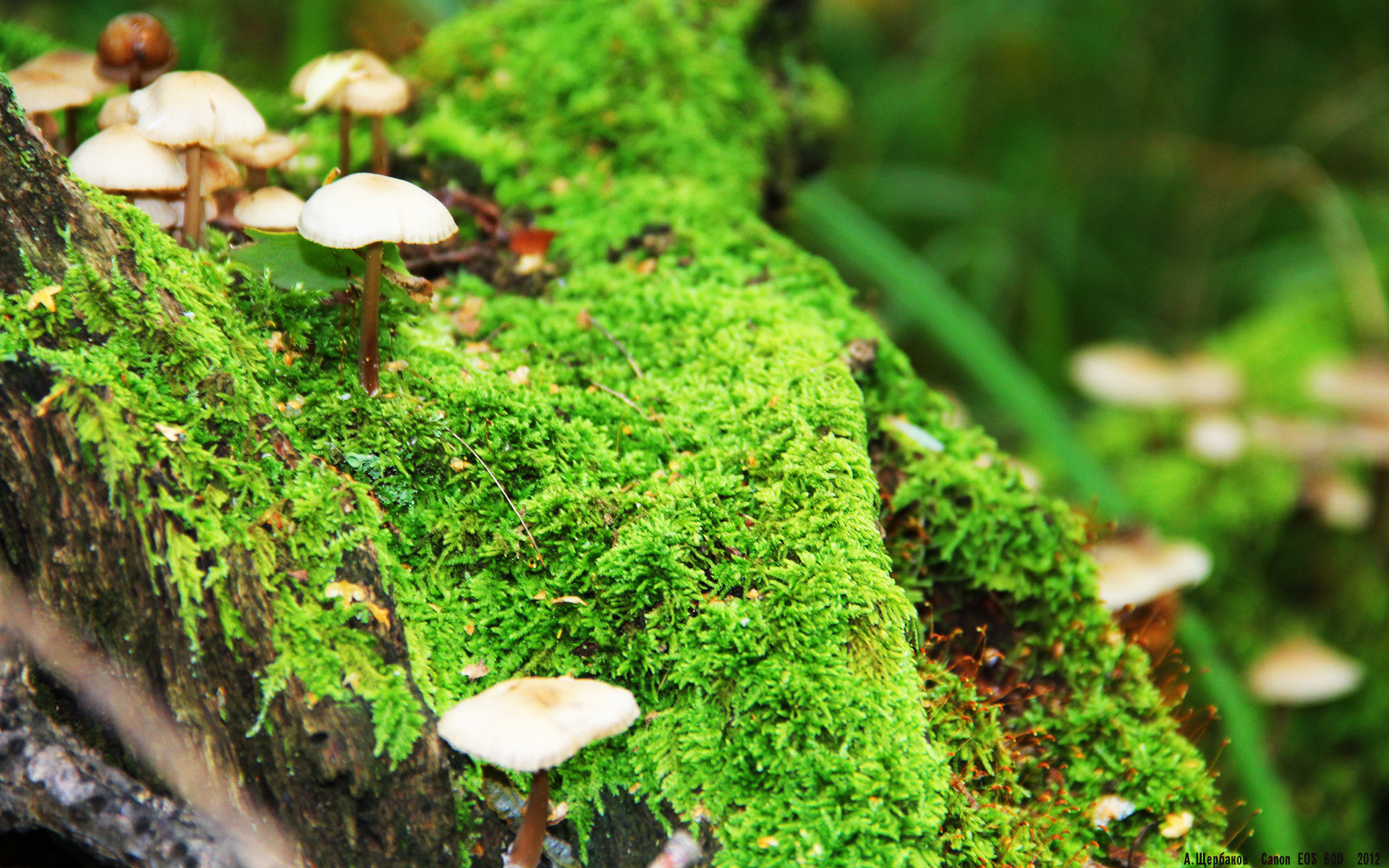 开云体育平台APP-无声的反叛，贝恩今夜是北岸花园一座行走的雕像