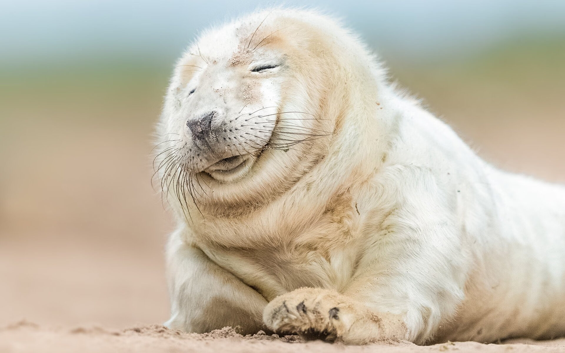 开云体育app-当莫兰特灵魂附体，意甲焦点战之夜，篮球美学如何点燃绿茵场？