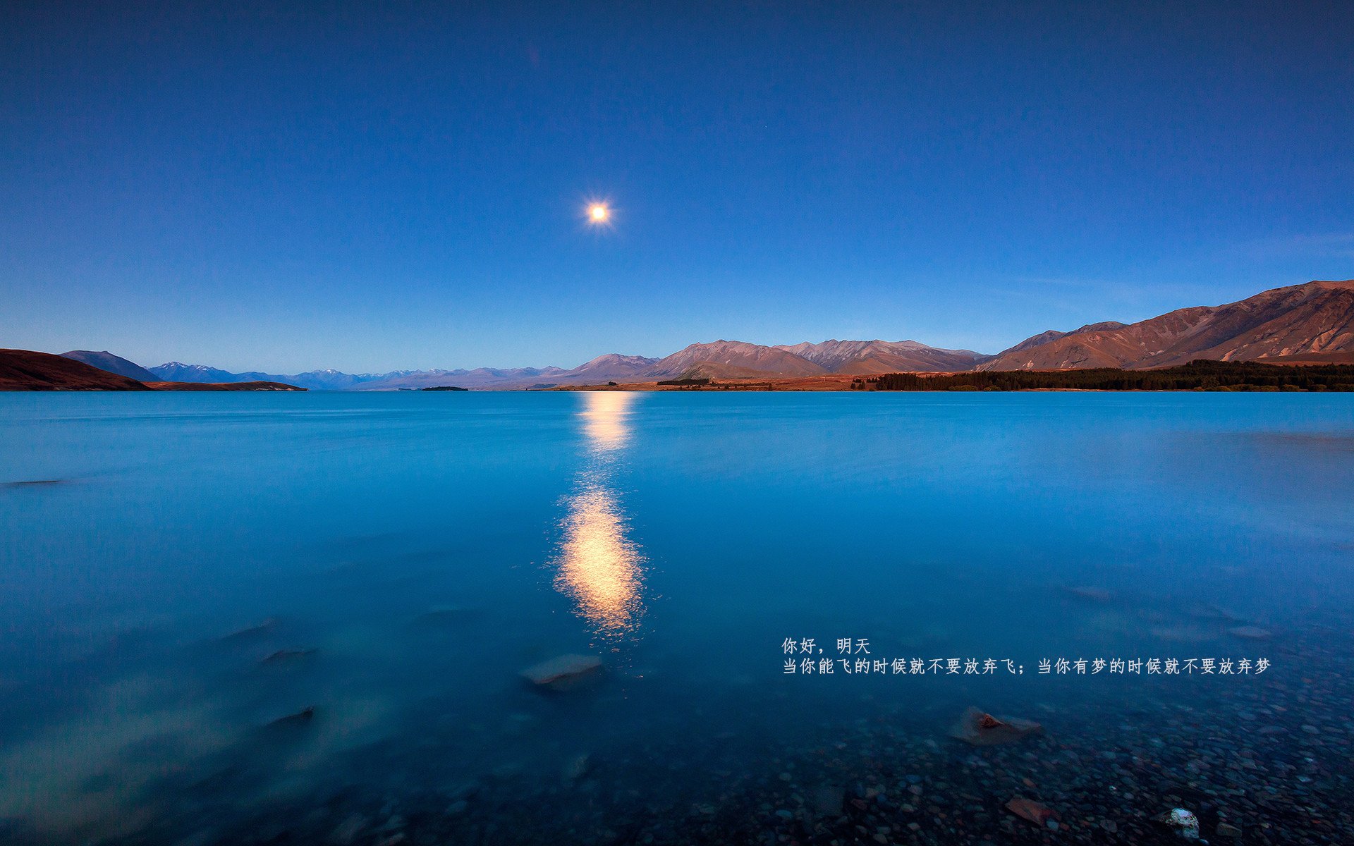 开云体育中国-2026篮球世界杯之夜，范弗利特的制胜传奇