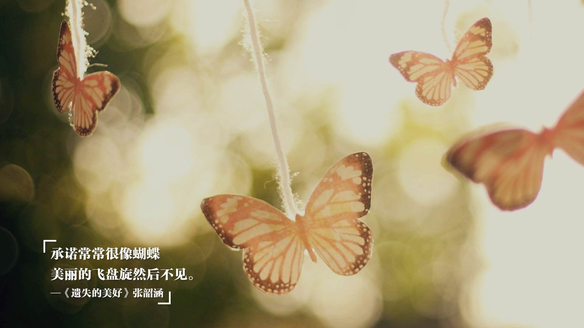 中轴线的统帅,阿坎吉以沉默的巨石,定义一场洲际对话