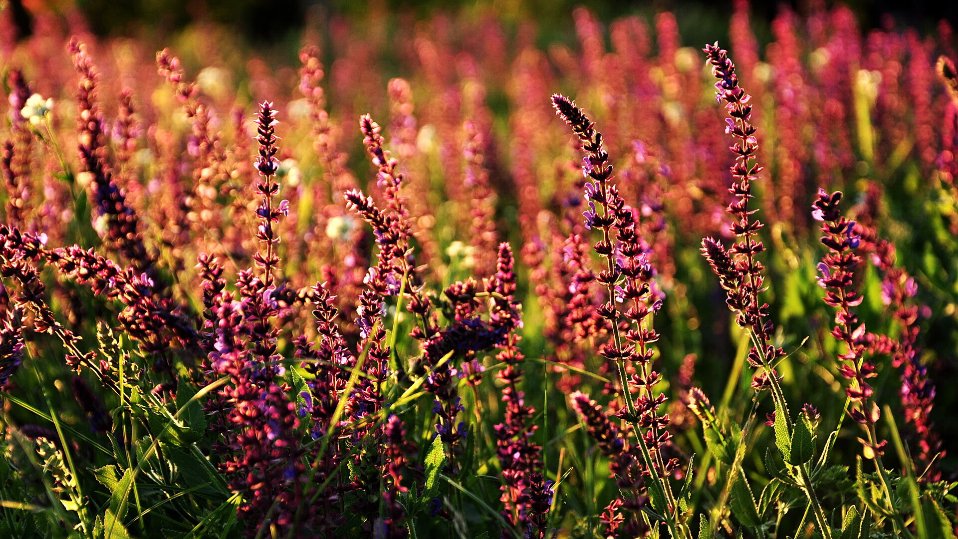 开云体育登录-苍穹之下，唯他定义高能，库里如何用一场比赛改写篮球之夜的方程式？