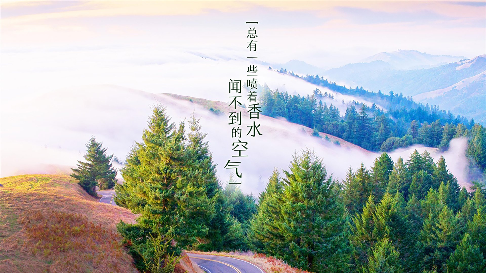 开云体育官网-桑巴风暴下的边路核爆，当阿诺德将H组强强对话踢成写意教学