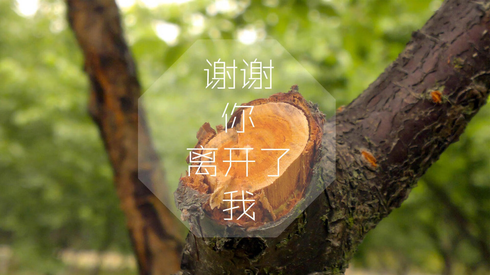 范戴克,定义国际大赛中锋的新标准,2026世界杯C组,阿根廷的险胜与一个中后卫的封神之战