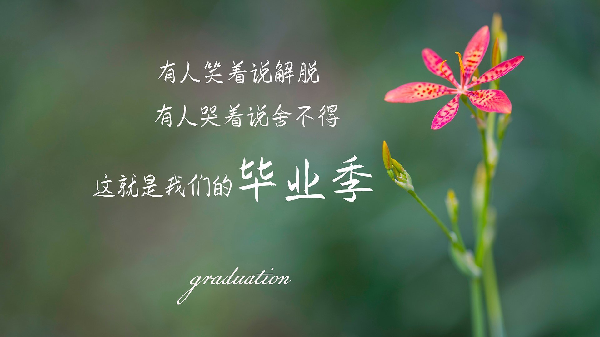 B组生死局，齐耶赫的隐形手术刀—葡萄牙临场变阵瓦解日本，死亡之组唯一悬念